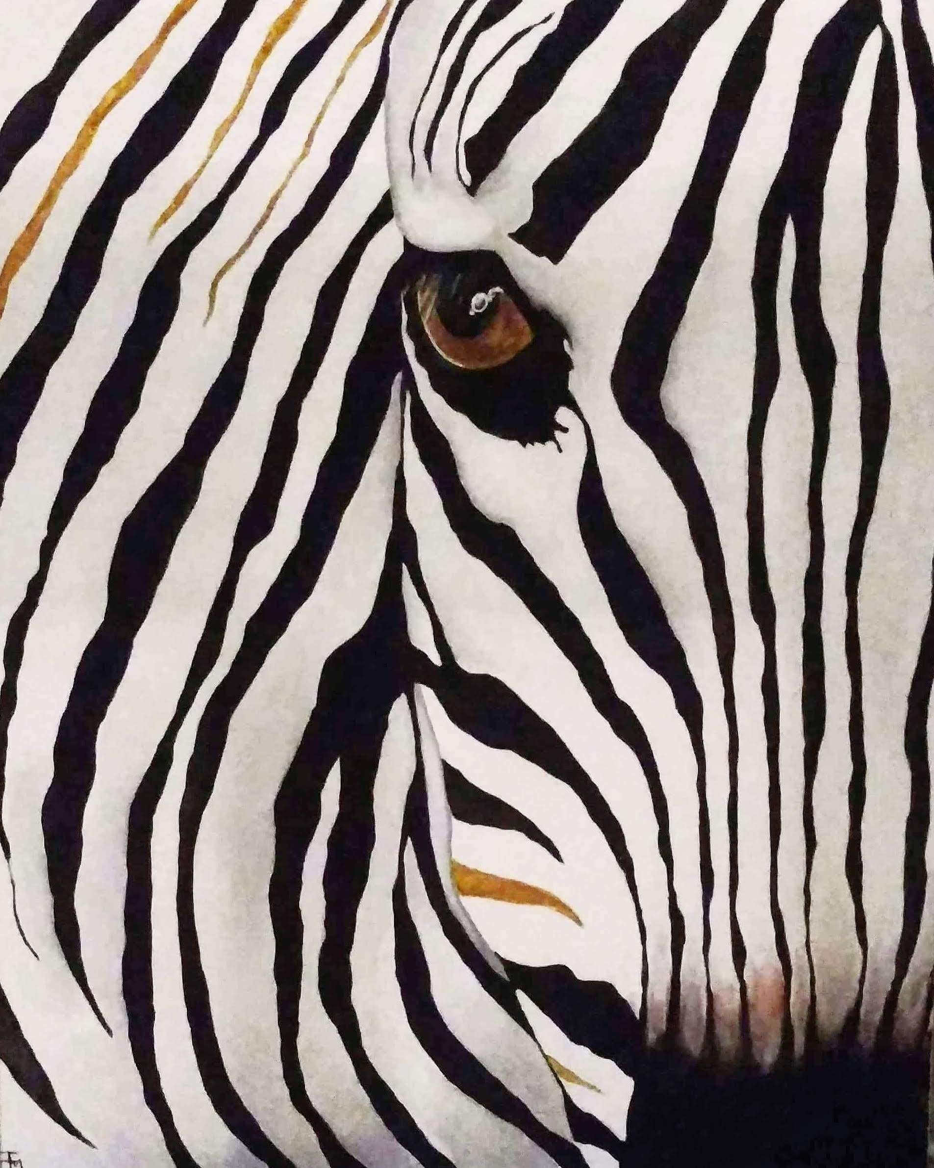 Zèbre de face - VENDU